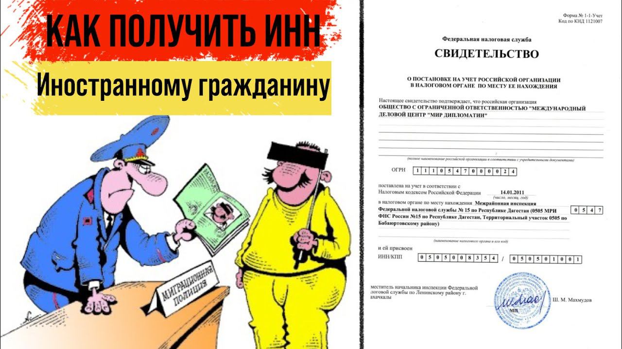 MsGroup - Миграционные услуги