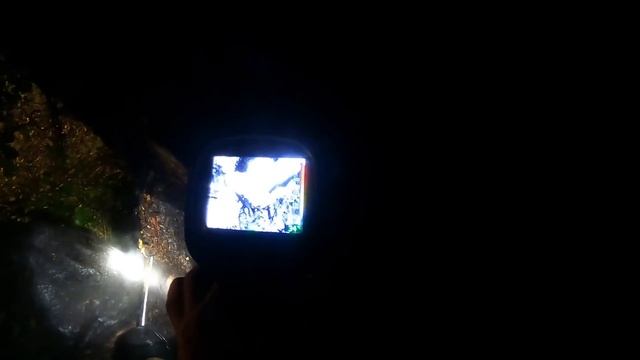 Boombrand - VOLUNTEERS DUTCH FIREFIGHTERS -