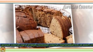 Натуральные подкормки для огурцов из пищевых отходов и продуктов народными средствам