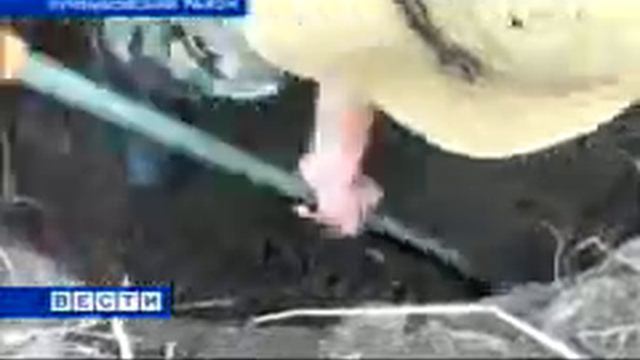 Андрей Кудряков смотреть онлайн