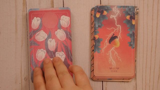 The Seed and Sickle Oracle Deck (Modern Tarot Library) Oracle Cards Flip Through, Walkthrough смотреть онлайн