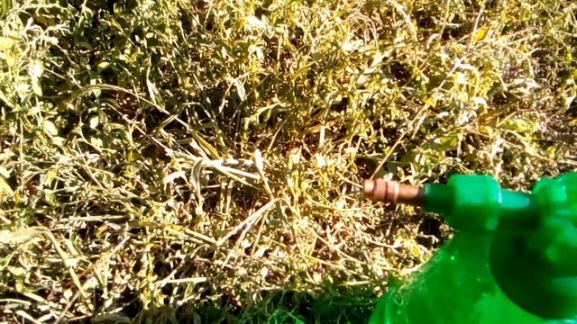 Строительные Нарративы