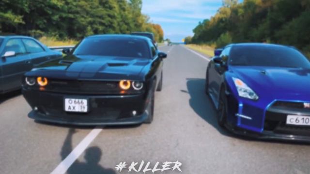 Паша пэл гонка Против Ганнибала