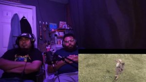 Реакция иностранцев на: Офицеры 1971