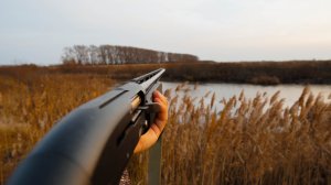 Тут много гусей. Охота на гуся 2022 мр155