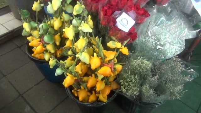 Нетуристический Бангкок 1 часть смотреть онлайн