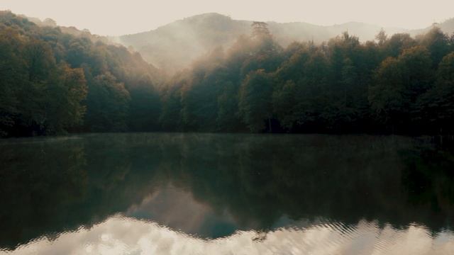 Медитация Ранним Утром под Пение Птиц / Звуки Природы на Лесном Озере / Релакс / #7 смотреть онлайн