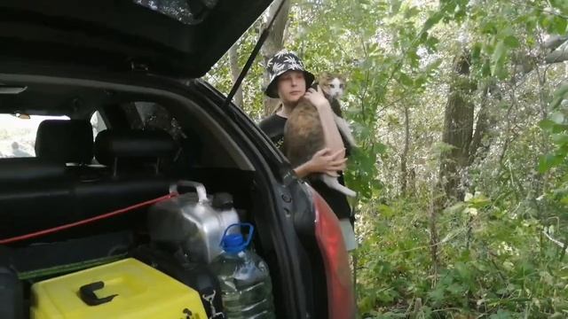 ДЕСЯТЫЙ И 11-Й ДЕНЬ ПУТЕШЕСТВИЯ _ ПРЫГАЕМ В ВОДУ