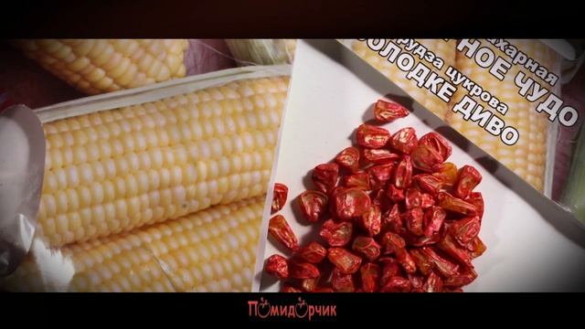 Семена Кукуруза Сладкое чудо GOLD - Помидорчик смотреть онлайн