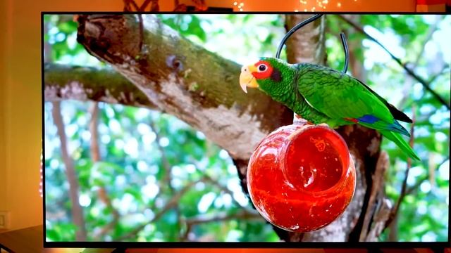 Smart TV Buying Guide Malayalam смотреть онлайн