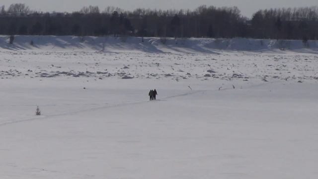 Лесосибирск по льду через реку Енисей рыбалка на хариуса и налима 9 марта 2017 смотреть онлайн