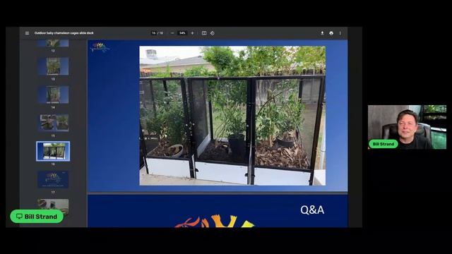 Keeping Baby Chameleons Outdoors смотреть онлайн