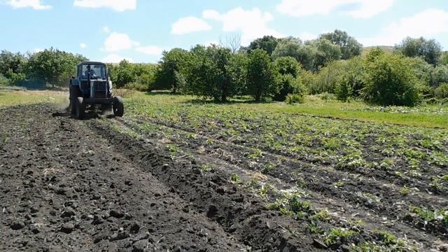 Обработка ОГОРОДА ДИСКОВОЙ БОРОНОЙ! Жизнь в деревне! смотреть онлайн
