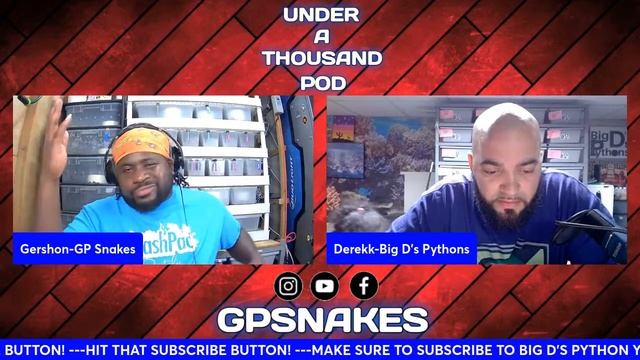 BIG D' PYTHON-UNDER A THOUSAND POD-S2 EP34 смотреть онлайн