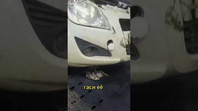 ПОДВЕЛА ЯПОНСКАЯ МАШИНА #suzuki #automobile #юмор смотреть онлайн