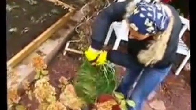 Гортензия.Мастер класс.Марина Рыкалина и Виталий Декабрев. смотреть онлайн