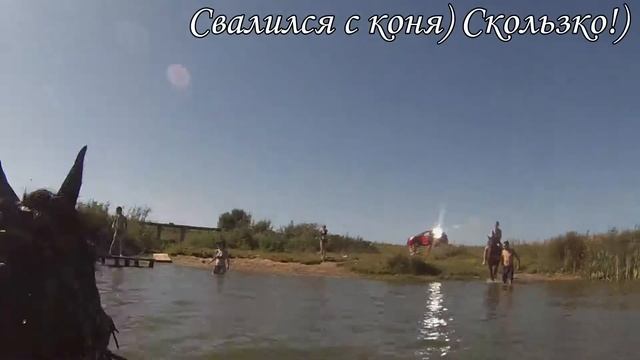 Золотая Подкова! Плаваем на лошадях! смотреть онлайн