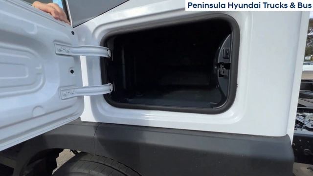 Hyundai Pavise | Peninsula Hyundai Truck | Bankstown