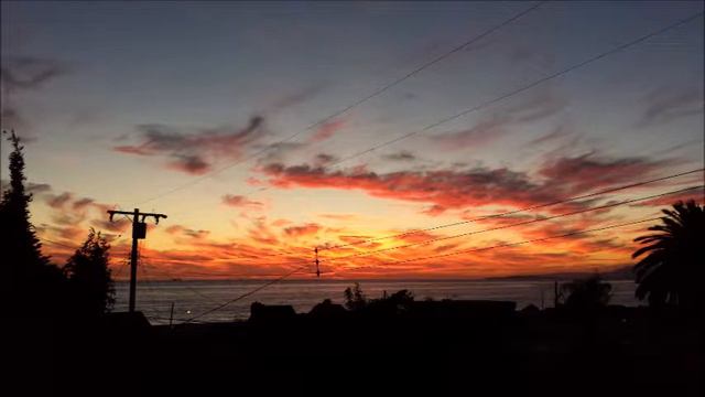 South of Seaward смотреть онлайн