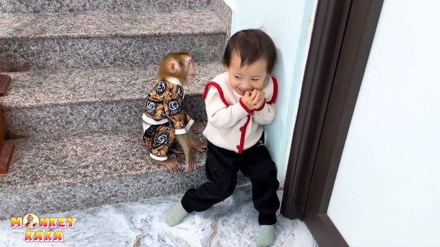 Monkey Kaka helps Diem retrieve the doll that fell in the alley смотреть онлайн