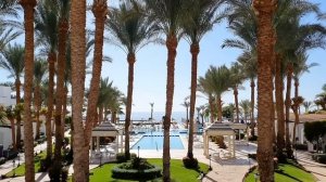 Египет Топ 10 самых популярных отелей для отдыха зимой 2022. Шарм эль шейх отдых в Египте.