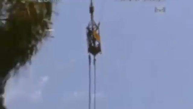 Крокодил откусил голову. 16+ смотреть онлайн