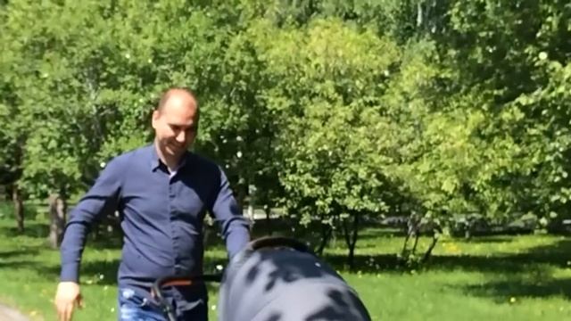 Парк метро slowmo смотреть онлайн