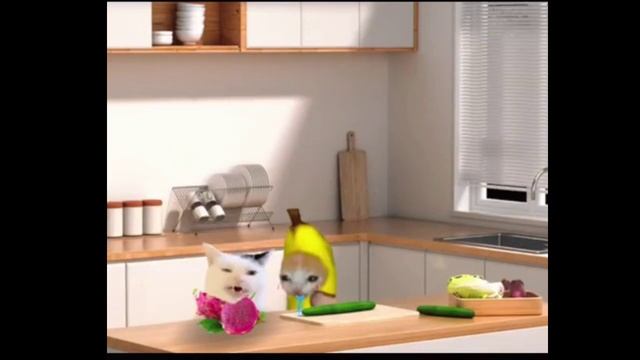 Happy Cat Super Cat • Happy And Banana Cat Videos #021  #happycats #funny