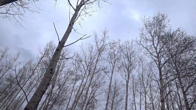 за уткой 15.05.2021год смотреть онлайн