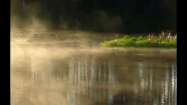 Незабываемые Трели Соловья фильм 5 Nightingale Singing to Relax смотреть онлайн