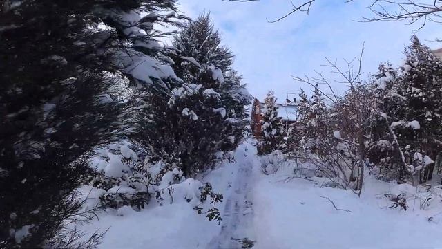 На даче 20.01.21 смотреть онлайн