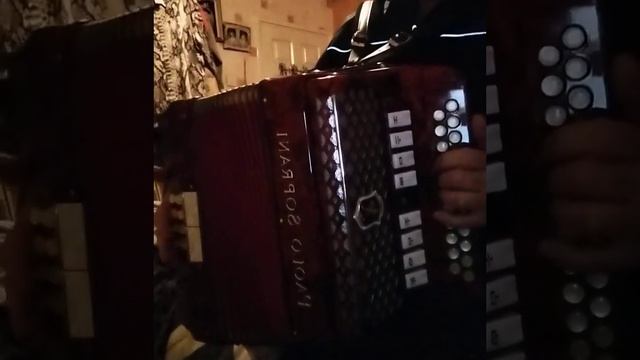 Sally Gardens Reel. This effort played on a Paolo Soprani BC accordion. смотреть онлайн
