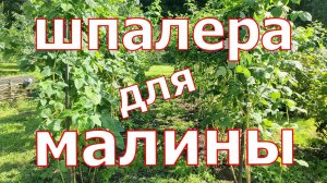 ПОСТАВЬ МАЛИНУ на МЕСТО! Шпалера для малины одноплоскостная