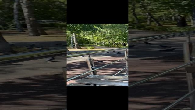Кайфуем смотреть онлайн