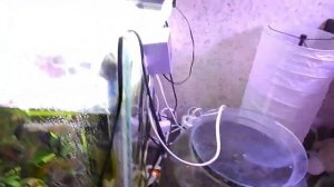 На XH-W3001 вышел из строя датчик.