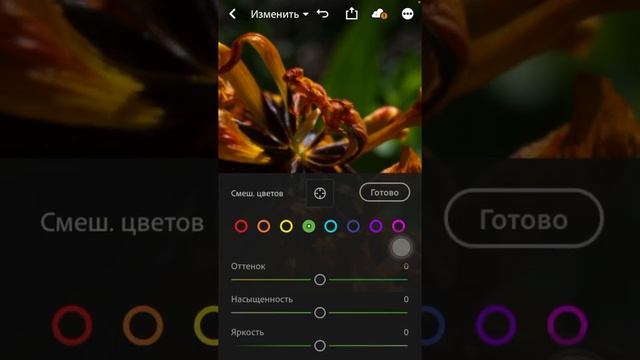 Обработка макро на телефоне.Lightroom смотреть онлайн