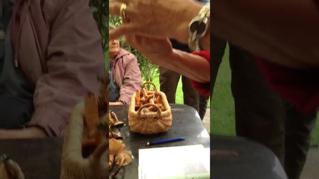 Pilzkontrolle Pilzexpertin грибы контроль эксперт по грибам 6 смотреть онлайн