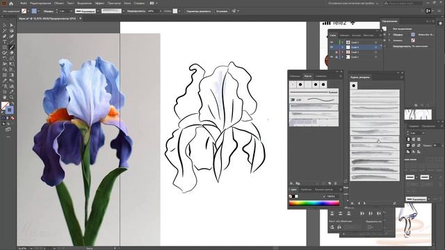 Рисуем ирис в Adobe Illustrator, эффект акварели смотреть онлайн