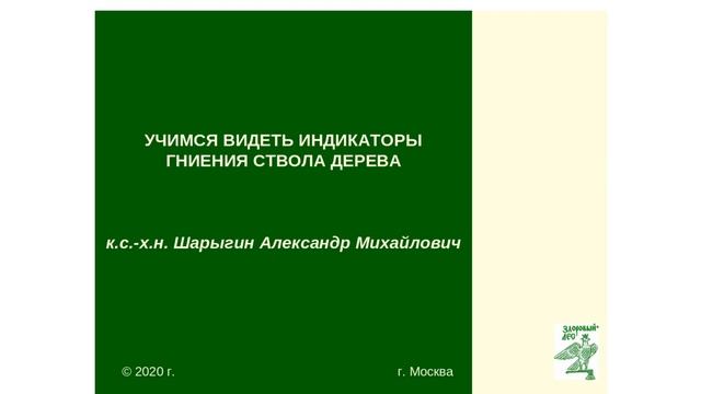 Вебинар «Учимся видеть индикаторы гниения ствола деревьев» смотреть онлайн