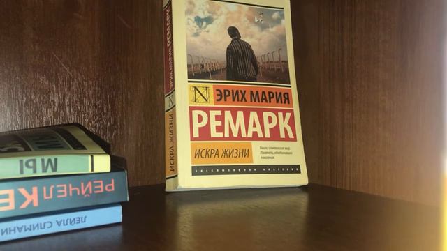 ЧТО Я ПРОЧИТАЛА ЗА ПОСЛЕДНЕЕ ВРЕМЯ 📚#книги#книжныйвлог #прочитанныекниги смотреть онлайн