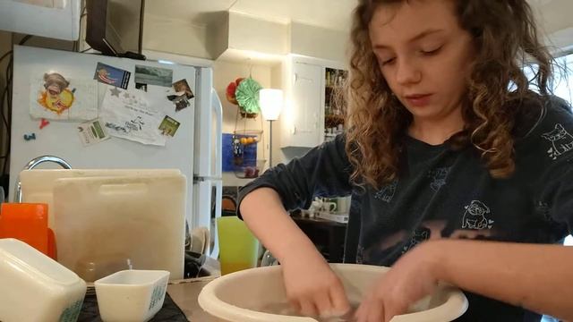 How to bathe a pet rock (UPDATED) смотреть онлайн