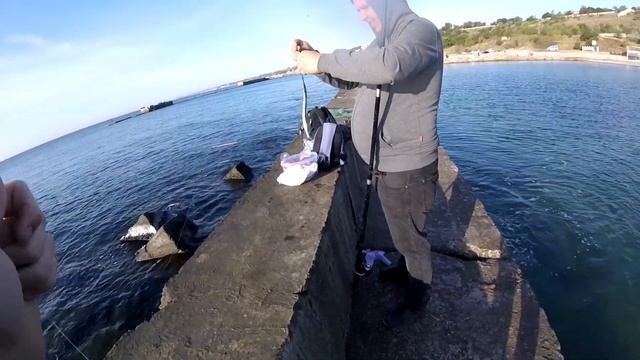 САРГАН ПОШЕЛ/Ловля ставриды и саргана на Черном море смотреть онлайн