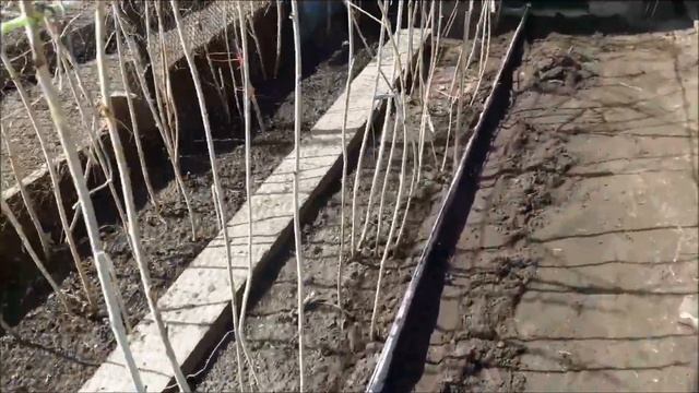 Малина,сделай срочно-грядки из шифера !!!!просто , ооочень просто! смотреть онлайн