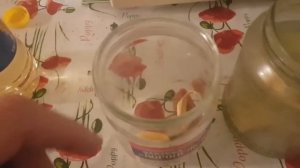 ловушка для тараканов своими руками