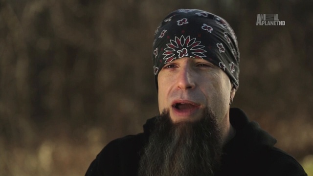 змеи- смотреть онлайн