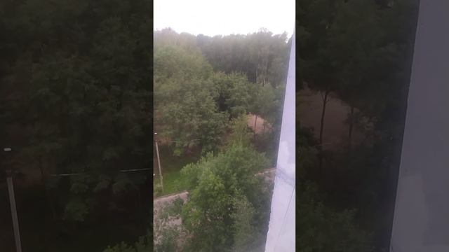 14 июля 2023 смотреть онлайн