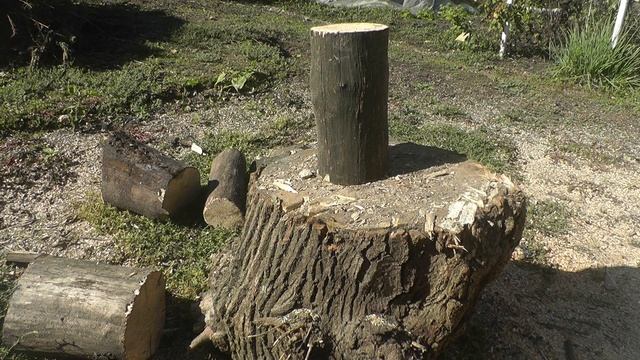 Как приготовить шашлык правильно, простые правила смотреть онлайн