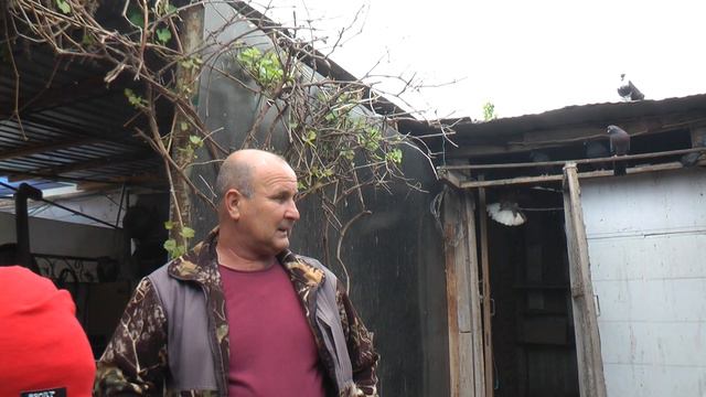 1.ч.💥Голуби💥 В. Гостях. у. Ерёменко. В. 1.05.2022.Г. 🎥🇷🇺🕊️ смотреть онлайн