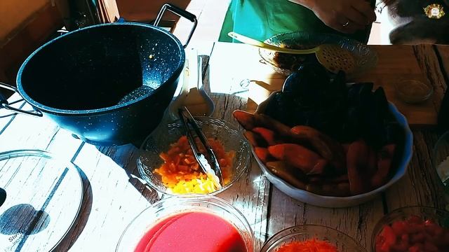 БАКЛАЖАНЫ И ПЕРЦЫ ФАРШИРОВАННЫЕ ОВОЩАМИ : ЗАГОТОВКА НА ЗИМУ ИЛИ ПАЛОЧКА-ВЫРУЧАЛОЧКА ДЛЯ ВАС смотреть онлайн