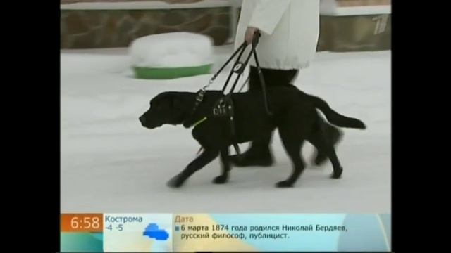 Моя маман в передаче "Доброе утро" смотреть онлайн
